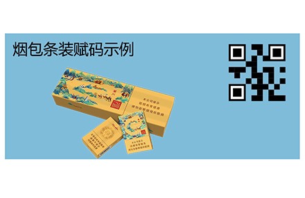 小平張可變數(shù)據(jù)噴印系統(tǒng)